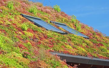 Burley Woodhead living roof systems